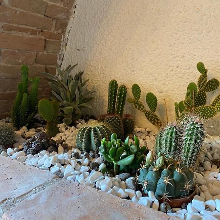 Cactus Suite Пиза Екстериор снимка